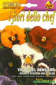 【イタリアの花の種】FRANCHI社《GL》エディブルフラワー・パンジー-GIGANTE SVIZZERA MULTICOLOR【固定種】[GLFE355/14]