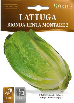 楽天市場 イタリアの野菜の種 ロメインレタス コスレタス Bionda Lenta Montare 2 Cod Bsolat4 Hortus社 ミセスリビング