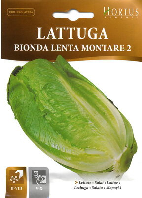 楽天市場 イタリアの野菜の種 ロメインレタス コスレタス Bionda Lenta Montare 2 Cod Bsolat4 Hortus社 ミセスリビング 楽天市場 イタリアの野菜の種 ロメインレタス コスレタス Bionda Lenta Montare 2 Cod Bsolat4 Hortus社 ミセスリビング