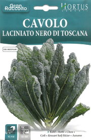 【お得な大袋イタリアの野菜の種】Hortus社　カーボロネロ 【固定種】