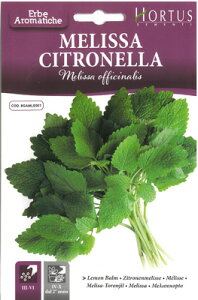 �y�C�^���A�̃n�[�u�̎�zHortus�Ё@�������o�[�� COD.BGAMLS001�@�������Ɏ�������₩�ȍ���@�n�[�u�e�B�[�ɂ��E�E�E