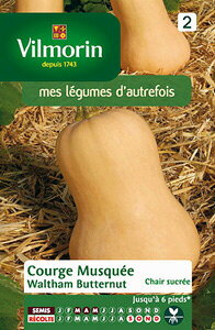 ytX؂̎zVilmorinЁ@pvL@Waltham Butternut@[728]