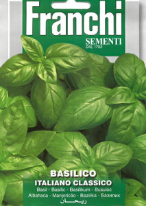 yC^Ãn[u̎zFRANCHIЁ@oWEC^ANVR@e8gyŒz[13/2]