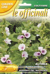 yC^Ãn[u̎zFRANCHIЁsGLt@}[V}E@sŒt2/60