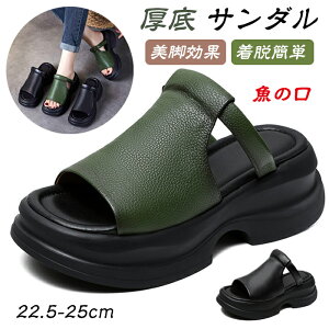 I[vgDEFbW\[T_ Xg[gT_ fB[X 6cm ̌ xNfUC 4E  [} r Ȃ ~ SVΉ r H e