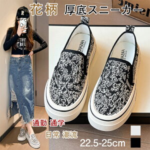 fB[X ԕ Xj[J[ T}[V[Y fbLV[Y JoX Xb| ʋC ₷ RtH[g IV t@bV   ꂳ wlC ؂񂱌C  