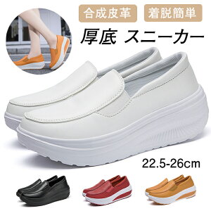 Xj[J[ 23.5cm-24.5cm i[XV[Y   C n d E fB[X Xb| y [JbgC EH[LOV[Y tbgV[Y ʋΒʊwC Ōt