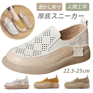 EhgD胍[t@[ JWAV[Y fB[XXj[J[ bV  RȂ Xb| lԍHw  ₷ i[XV[Y EH[LO/ʋ/