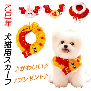  RXv  o_i  wr  pXk[h ւђ LpXJ[t N 蕨 ybg X^C nEB NX}X RX`[ Lp 2025N x N  ANZT