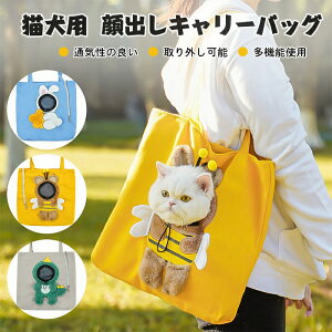 Lp ybg L[obO o r[^LbgobO KȋxeXy[X̂߂̃\tgNbVCjO Io Ɠ AEghAobO I ETM ^ Lɋ߂Â 