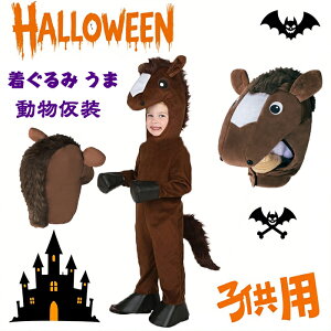  qp n  킢 A̕ o  N oYj pW} QA[g a  nEB p[eB[ if LbY qp ߑ nEB