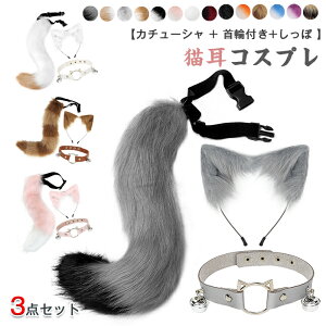 LRXv 3_Zbg  50cm  ߉\ LJ`[V + ֕t Ch ̌^Ή y K Pi[ SNS f nEB NX}X p[eB[p w v[