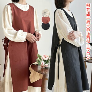 Gv fB[X  100 2Way 킢 xXgGv O ԕ n k |Pbgt s[X  Vv 傫TCY |  JtF