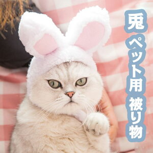ybgp 蕨  L ᡉK e RXv nEB ybg N x ETMXq 킢 lR  RX`[ tFCNt@[ ^ ^ 