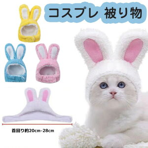 �R�X�v�� �n���E�B�� �������X�q ��蕨 �p���f�B�[ ���� �h�b�O�E�F�A �R�X�`���[�� �ϐg ᡉK �e �N��� ���x �E�T�M �A�j�}�� �X�q ���� �{�A �ӂ�ӂ� �ϐg ���̖X�q �L�̖X�q