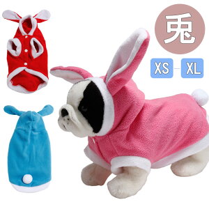 2022NV ybg ~ _bNXp   L  lC e t@bV  TVc h RR R[g _炩  q hbOEFA ^ ^ tH~ ̕ ybg