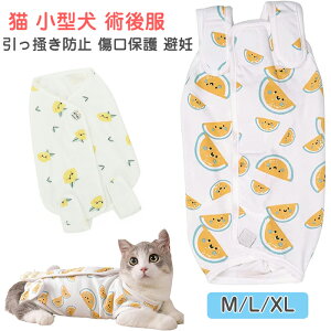 L p㕞 ^ ی앞 pEFA }WbNe[v IX X XCJ ی애ی쏝r ~h~ ی D r ̕ ^ t H~  ybg ^ `