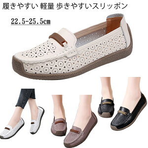 Xb| Xj[J[ fB[X [t@[ [Jbg ₷ [q[ V[Y fB[X RtH[gV[Y A[g y ₷ ؂񂱃V[Y n C JWA