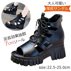 T_  fB[X 7cmq[ r OfBG[^[ u[cT_ fB[X [XAbv I[vgD JWA r X^CAbv obNWbv ʋC ₷ T_