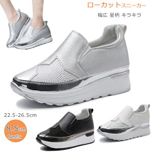 Xj[J[ [Jbg C fB[X Xb| rW[  Vo[   Cq[  LL  3e L t s q[Xj[J[ 풅 ʋC ʊw ʋ i tďH