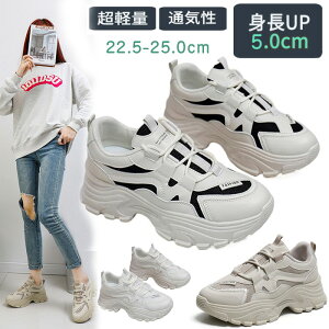 Xj[J[ fB[X     X|[cV[Y r L y ʋC Ȃ V[Y Xj[J[ ʋ ʊw AEghA _炩 ₷ JWAV[Y 