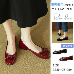 Jp pvX { J̓ CV[Y CpvX fB[X  h Gi ₷ ʋ ʊw  ɂȂɂ C\[ NbV Ȃ ϋv