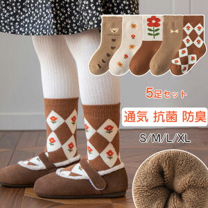 �L�b�Y �\�b�N�X 5���Z�b�g �q���C�� ������� �K�[���Y �X�|�[�c�\�b�N�X �X�g���C�v �ʋC �R�� �h�L �ʊw �ʉ� �� �t �� �H �~ 1�� 2�� 3�� 5�� 8�� 12�� �M�t�g �v���[���g