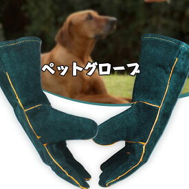 楽天市場 グローブ 犬用品 ペット ペットグッズ の通販