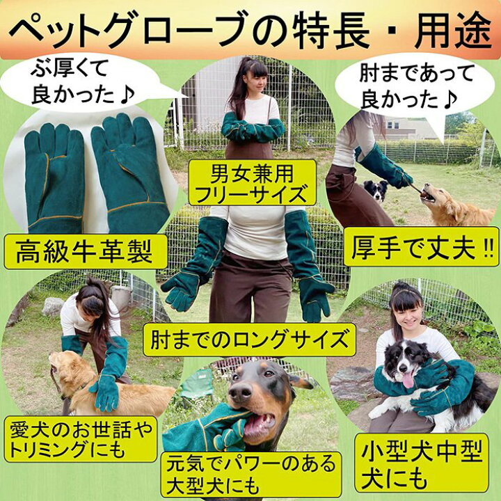 市場 お買い物マラソンクーポン 噛みつき ランキング入賞 グローブ 犬 厚手 グリーン 噛みつき防止 2倍 ペットグローブ 猫 手袋 2個セット