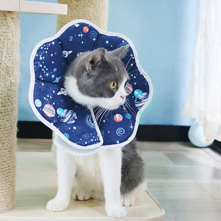 早割クーポン! 送料無料 エリザベスカラー 猫用 小型犬用 術後傷口保護 傷舐め防止 引っ掻き防止 宇宙デザイン M 鉄仙花ヒワ 筒型飯器(小) 105×76mm おひつ、飯台