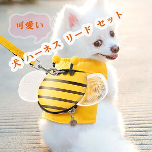  n[lX [h Zbg 킢 ~co` Ȃ  ^ ^ L ybgpi