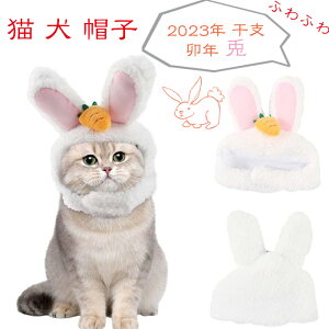ETM Ԃ L  Xq 蕨 Lbv ETMRXv  wbhMA 킢 ObY  RX`[ ϐg ӂӂ g h 2023N x KN e p[eB