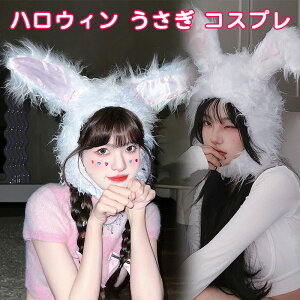 nEB  RXv Ԃ ETM C[X^[ ObY fB[X  Aj} ߑ RX`[  蕨 Ԃ蕨 e KN