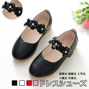 hXV[Y ̎q \ C tH[}V[Y LbY C vZX V[Y qC y xr[V[Y JWA K[YV[Y t  w  Ǝ oG