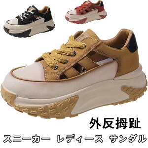 Xj[J[ fB[X T_ V^  ₷ Ȃ  ʋC L y r gUP JWAV[YAOd lԍHw JWA V[Y fB[X 5c