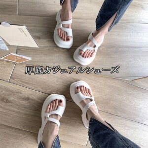 X|[cT_ fB[X  RtH[gT_ T_ fB[X t@bVT_  r[`T_ ₷ K ItBXT_ _炩 y IV 