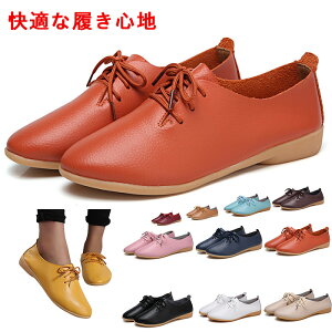 fB[X [t@[ [XAbv q w _炩 tH[} pvX [q[ XNGAgD hXV[Y ꂢ ؂ pvXtbgV[Y JV ̎q W