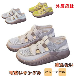 X|[cT_  O fB[X pvX fB[X ₷ T_ ₷  Ȃ  C V[Y  T}[V[Y r GXph[CY _