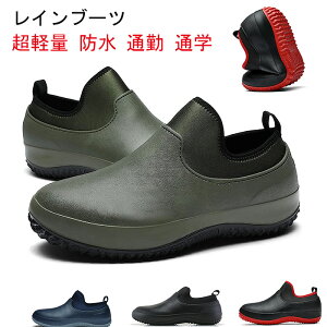 Cu[c CV[Y JWA V[g fB[X rWlX 䕗΍ y h ʋ ʊw V[g ނ Ԍ JC ~ ԃV[Y JC AEghA h ~J ~J