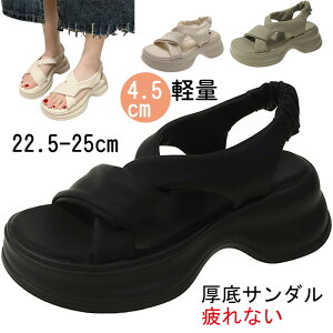 X|[cT_ fB[X ₷ T_ y RtH[gT_ ɂ  CX^lC T_ r[`T_ I[vgD JWA AEghA 