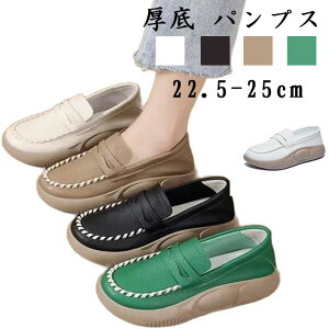 fB[X  pvX JWA C Xj[J[ X|[c V[Y jOV[Y EH[LOV[Y ʋC y gAbv ʋ ʊw 5cm UP CX^lC  Rt