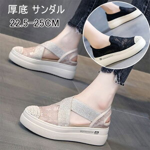  T_ fB[X ₷ bV r g Abv 6cm fB[X ₷ bV r  O fB[X i[XT_ Ȃ bV T_ I[