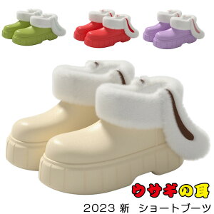 2023 V fB[X V[gu[c Xm[u[c Xb| C JC ₷  ETM̎  t  lp N ~p hC fB[XV[Y