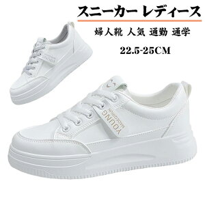 Xj[J[ fB[X   X|[c V[Y C EH[LOV[Y ^C jOV[Y ʋC ~ JWA r gAbv p wlC lC ʋ ʊw 풅p 