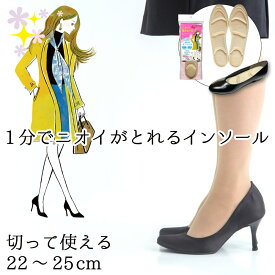 【～3/11 1:59まで50％OFF！】 シリカコンフォート さらさらニオわなインソール レディース メンズ 22.0～25.0cm (インソール 中敷き 衝撃吸収 消臭 脱臭 防臭 強力 足臭 汗臭 臭い 匂い 除湿 吸湿 蒸れ 湿気 シリカゲル 繰り返し使える 水虫 すぐ使える 通気性)