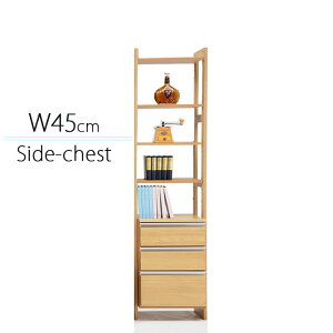 `FXg TCh`FXg I 45cm ̌^ er g  }\ V l炵 ubNtCf[  ؍H