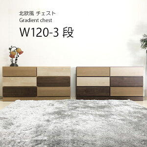 `FXg nC`FXg [`FXg [ ^X 120 3i V l炵 ubNtCf[ ؐ Of[V k uE i` Y i }\ V l炵 