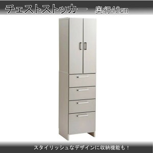 `FXgXgbJ[ 45 s42 Tj^[[ Eߏ ʏ Vo[  }\ V l炵 ubNtCf[  ؍H