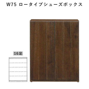 V[Y{bNX 75 ʔ ֎[ [^Cv ؖڒ}\ V l炵 ubNtCf[ v[g  ؍H