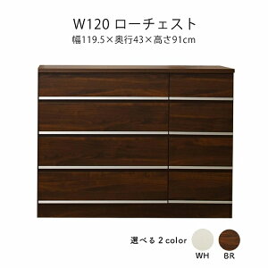 [`FXg 120 4i _X `FXg ^X [  }\ V l炵 ubNtCf[  ؍H